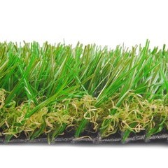 Montana profile sample.