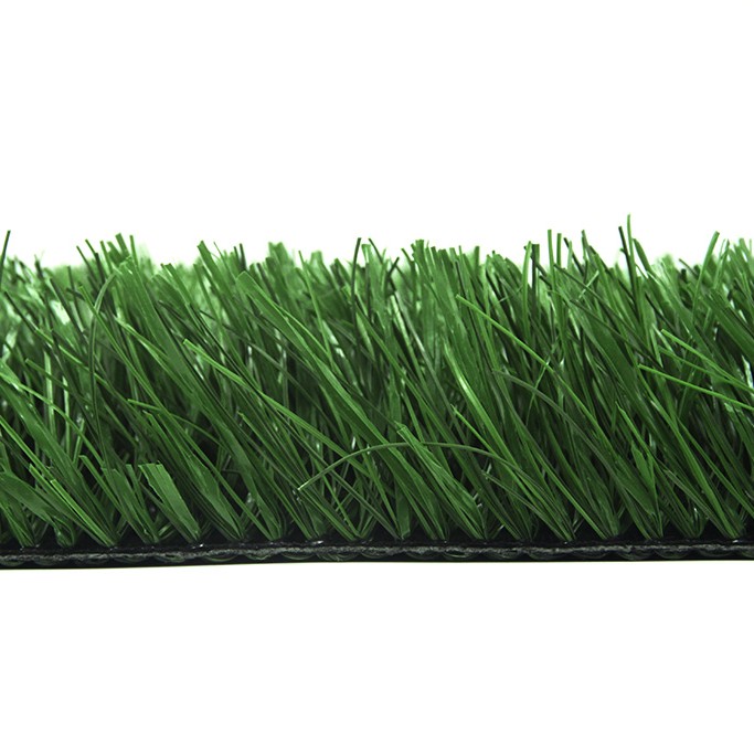 Montana profile sample.