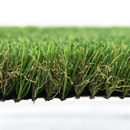 Montana profile sample.